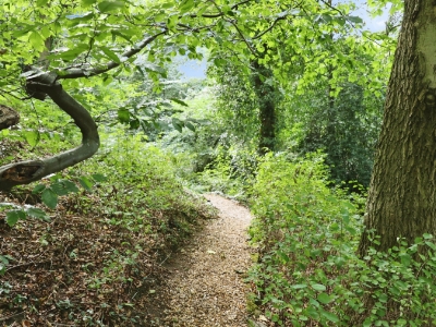 Picture 43